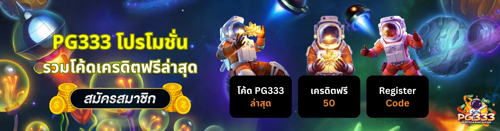 PG333 โค้ด